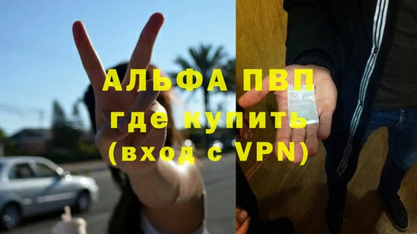 винт Новозыбков