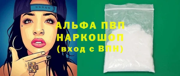винт Новозыбков