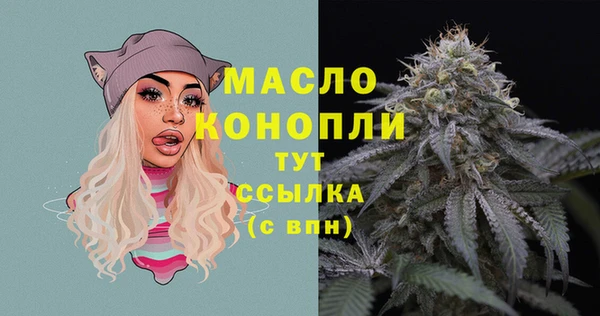 винт Новозыбков