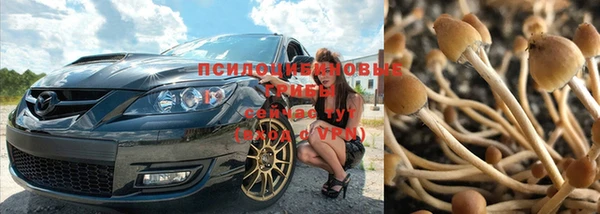 винт Новозыбков