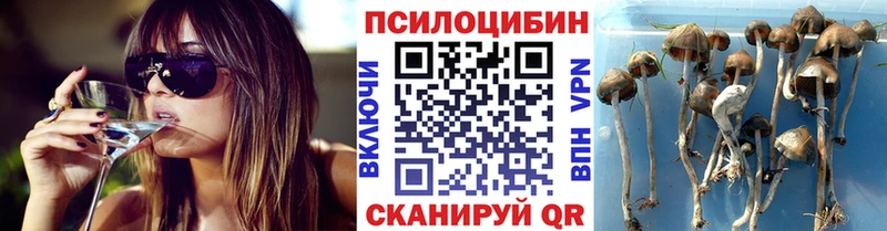 Псилоцибиновые грибы Psilocybine cubensis  Кириллов 